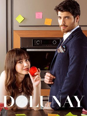 Dolunay : Affiche