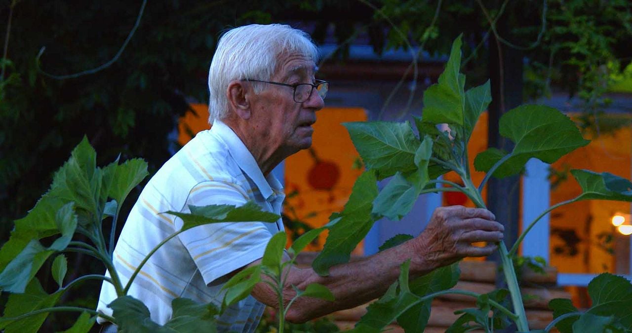 Le Jardinier de ces dames : Photo