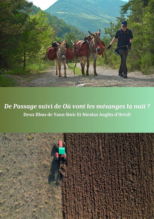De Passage + Où vont les mésanges la nuit ? : Affiche