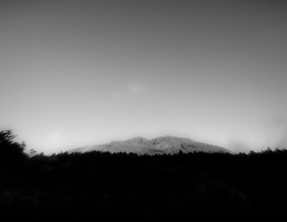 I'm Still Kind of a Daydreamer : Photo