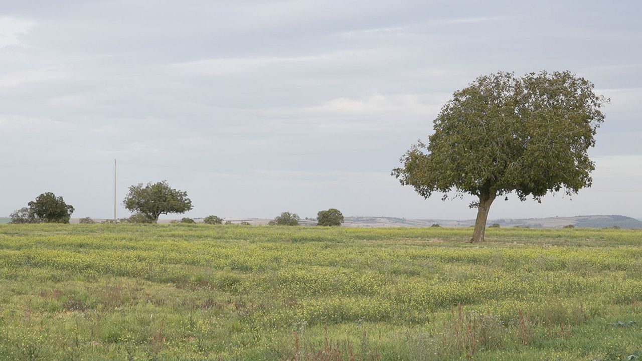 Transition sous tension : Photo