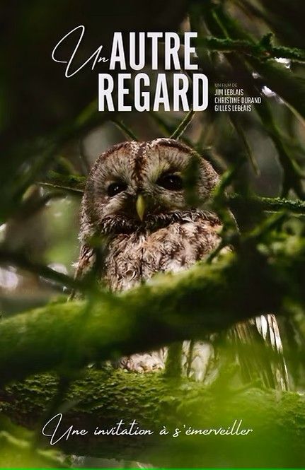 Un autre regard : Affiche