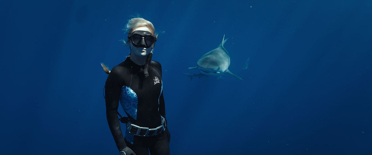 En paix avec les requins : Photo