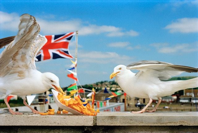 I Am Martin Parr : Photo
