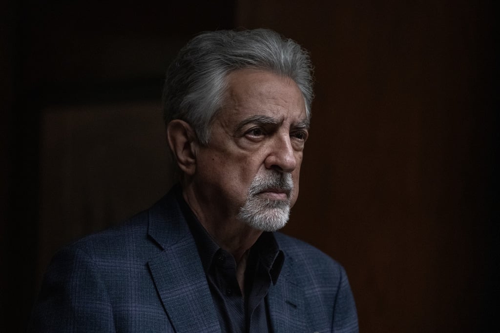 Esprits criminels : Evolution : Photo Joe Mantegna