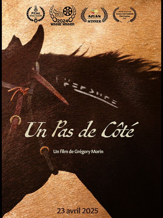Un Pas de Côté : Affiche
