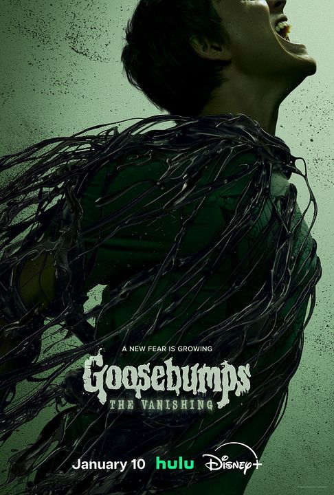 Chair de poule : Affiche