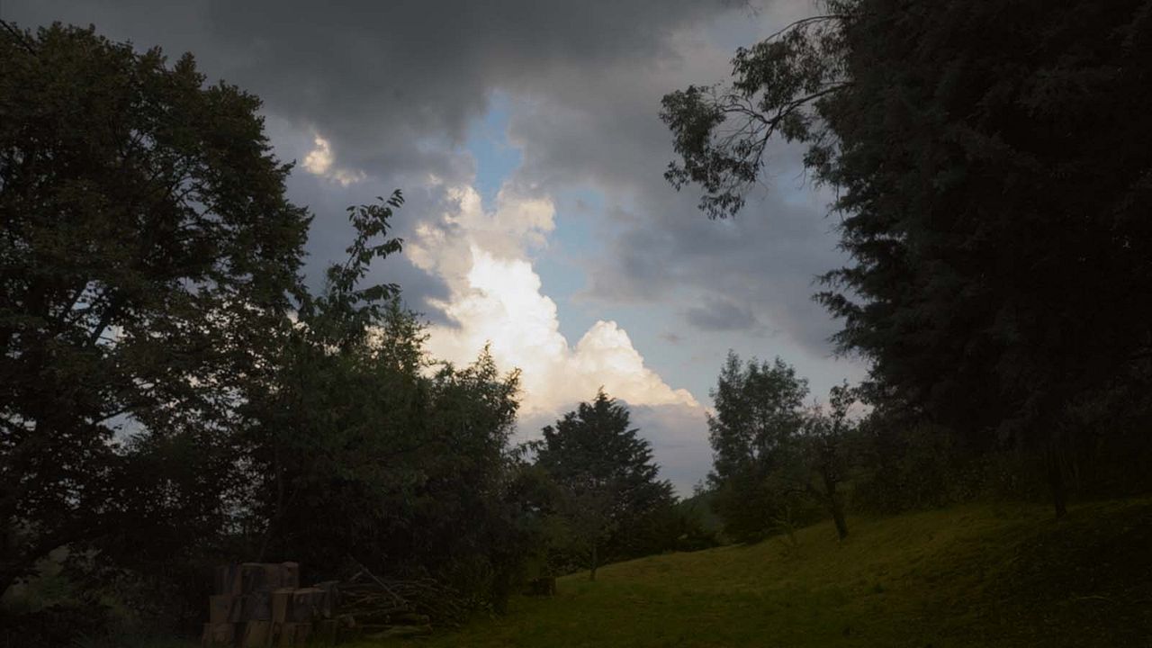 Lazare Silbermann : Photo