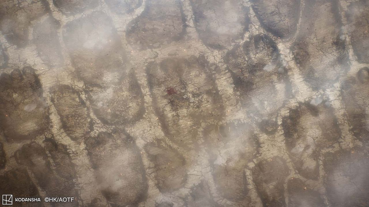 L’Attaque des titans : La dernière attaque : Photo