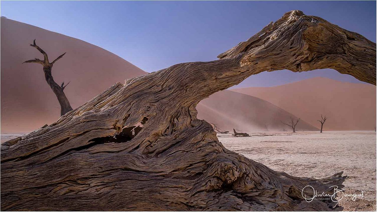 ALTAÏR conférences - Namibie, époustouflante par nature : Photo
