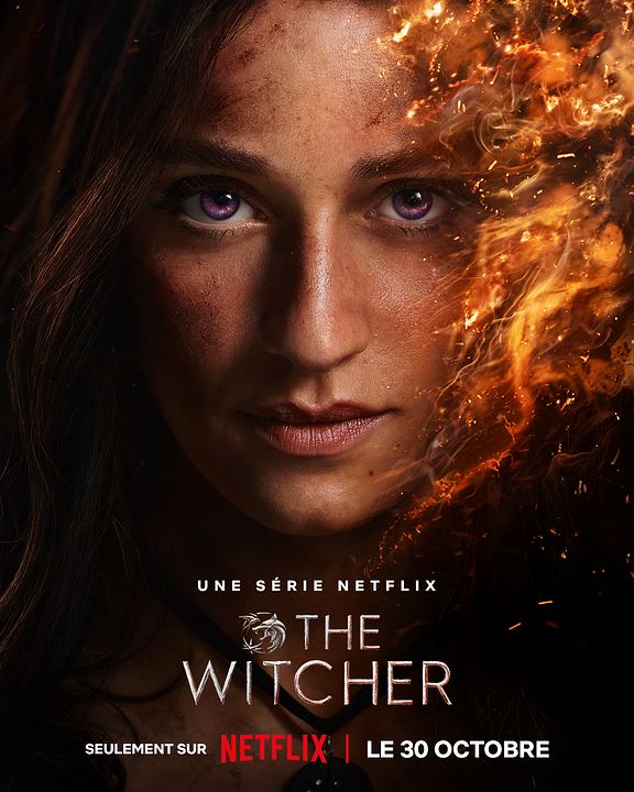 The Witcher : Affiche