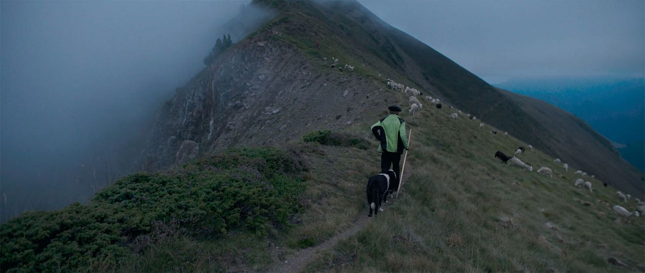 Le Berger et les ours : Photo