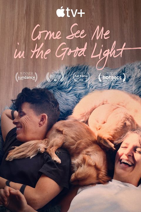 Come See Me In The Good Light : Affiche