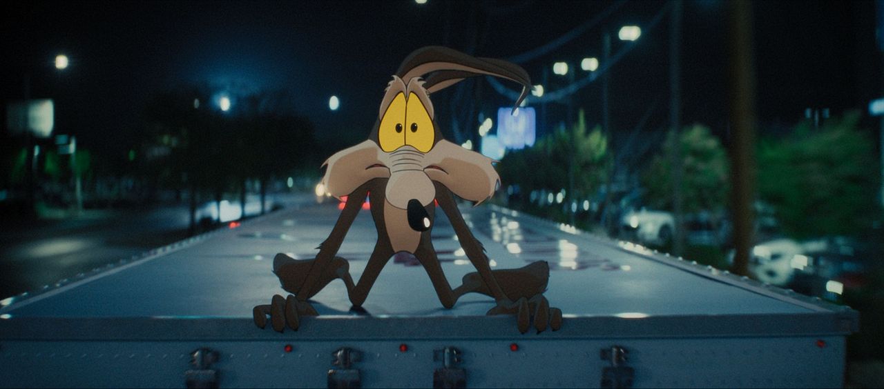 Coyote vs Acme : Photo