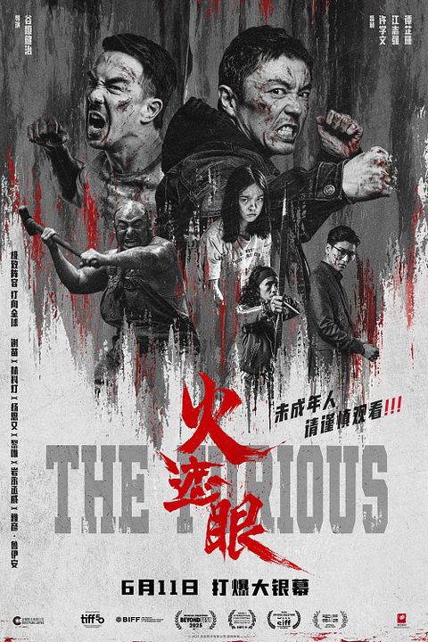 The Furious : Affiche