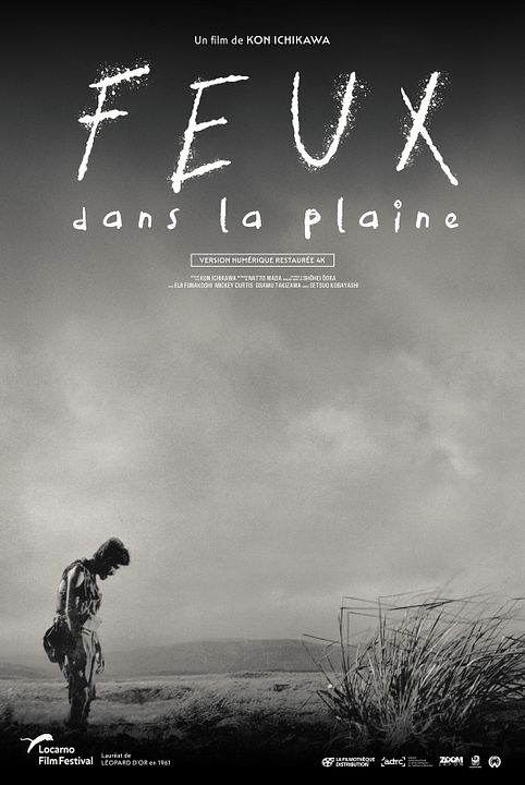 Feux dans la plaine : Affiche
