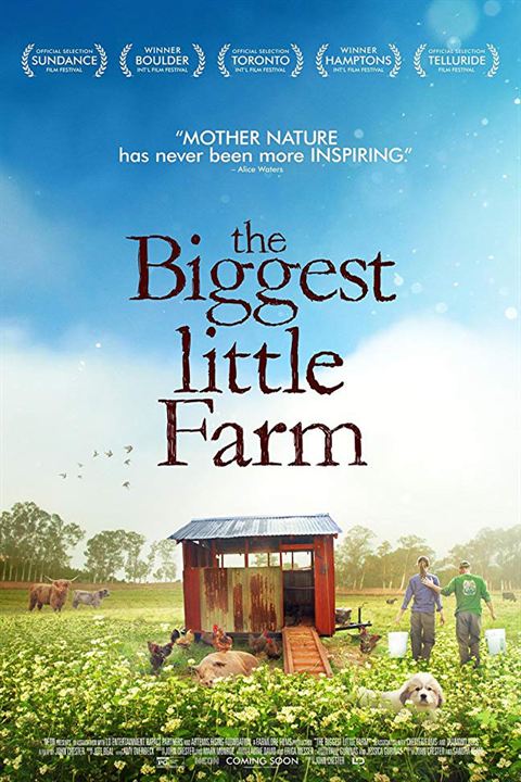 Tout est possible (The biggest little farm) : Affiche