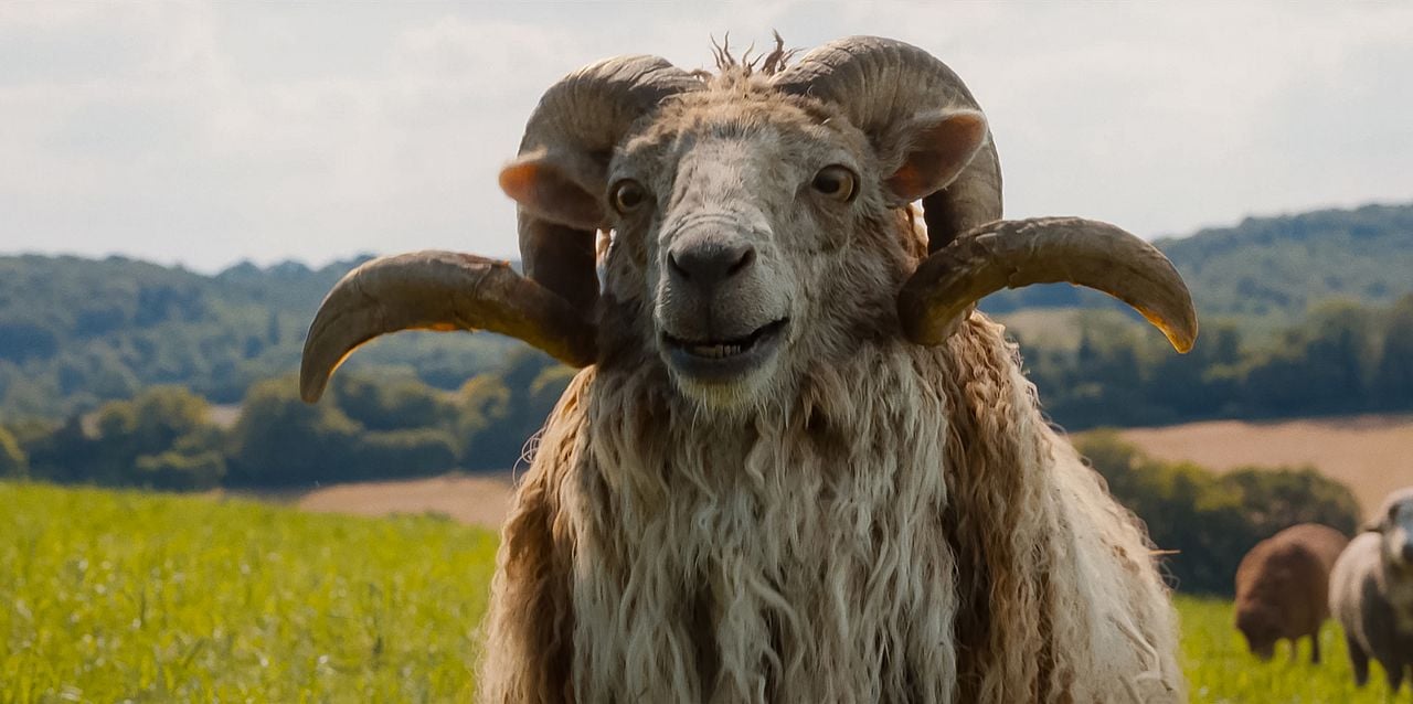 Les Moutons Détectives : Photo