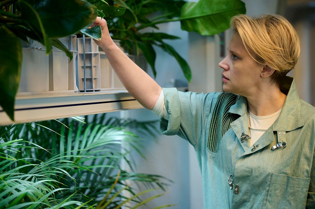 Destins croisés : Photo Kate McKinnon