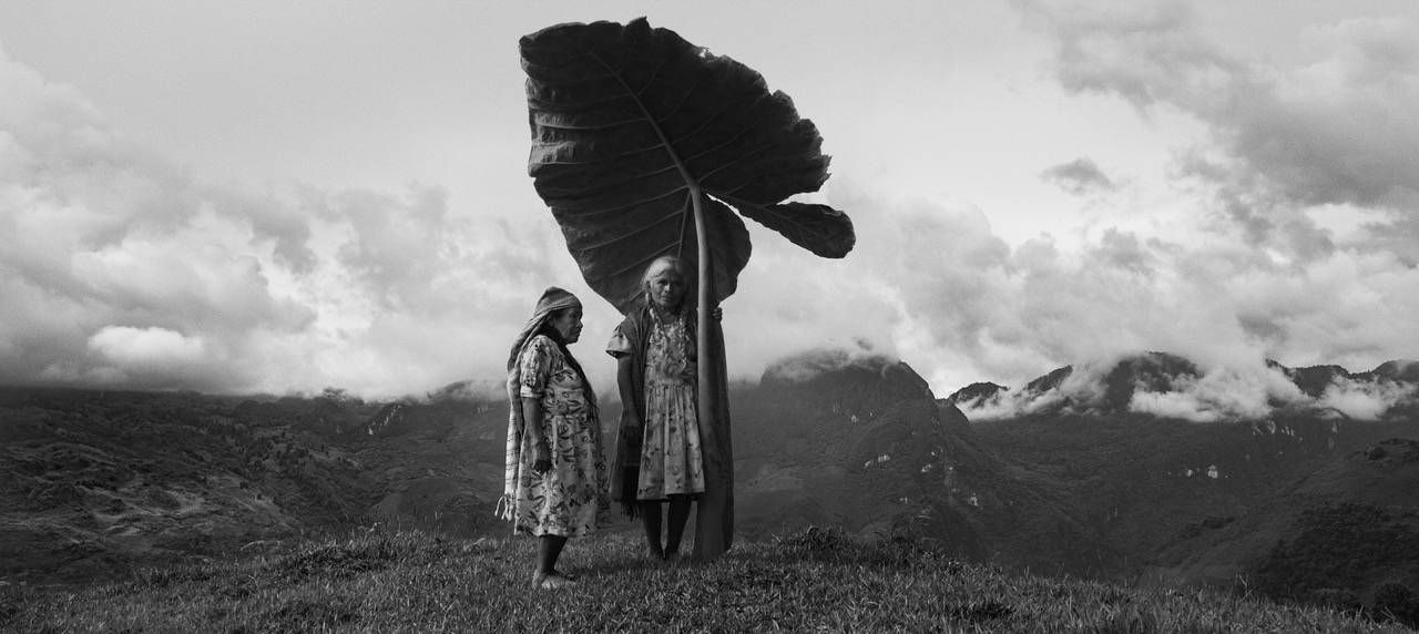 Gods of Mexico : Photo