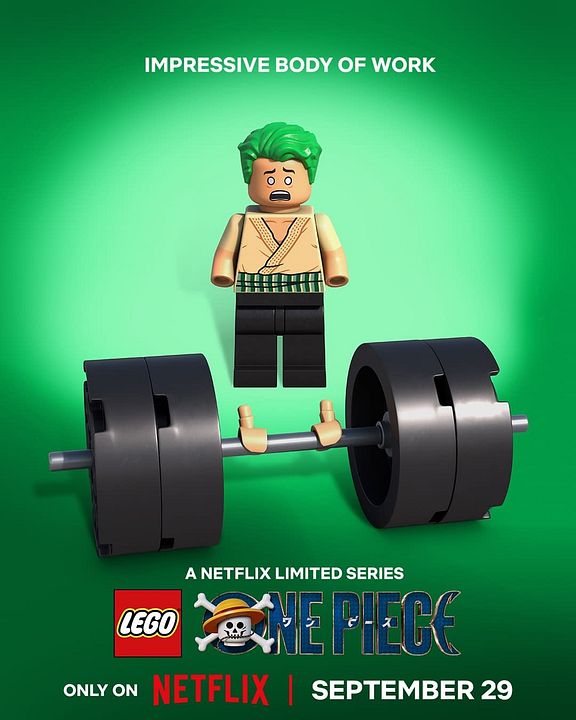 Lego One Piece : Affiche