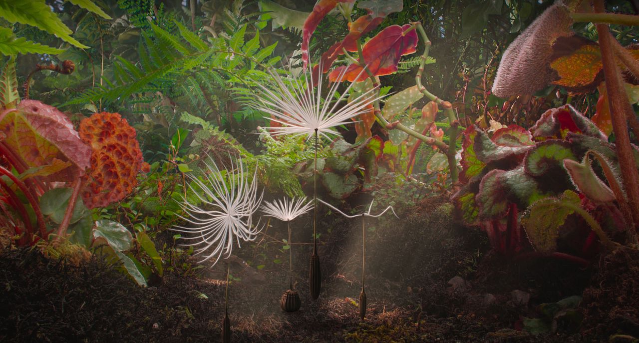 Planètes : Photo