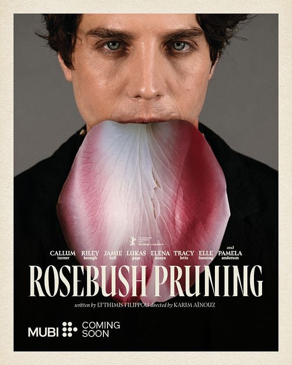 Rosebush Pruning : Affiche