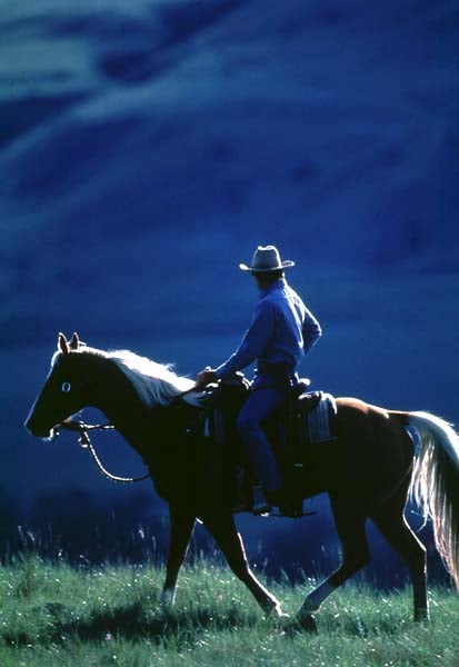 L'Homme qui murmurait à l'oreille des chevaux : Photo Robert Redford