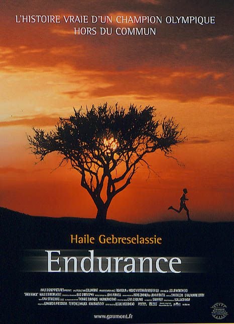 Endurance : Affiche