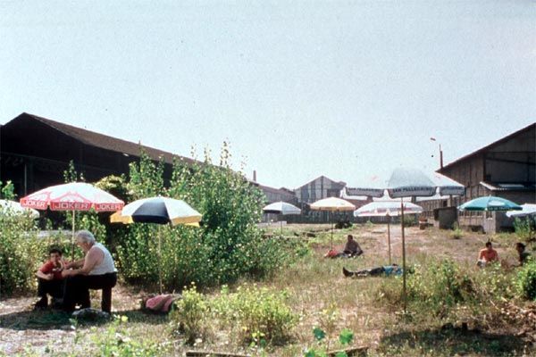 Ce vieux rêve qui bouge : Photo