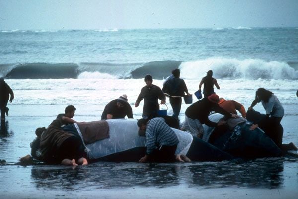 Paï : l'élue d'un peuple nouveau : Photo