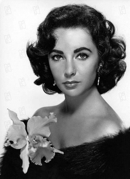 Photo Elizabeth Taylor