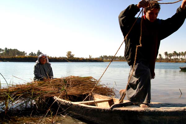 Zaman, l'homme des roseaux : Photo