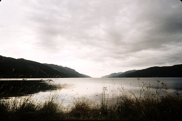 Incident au Loch Ness : Photo Zak Penn