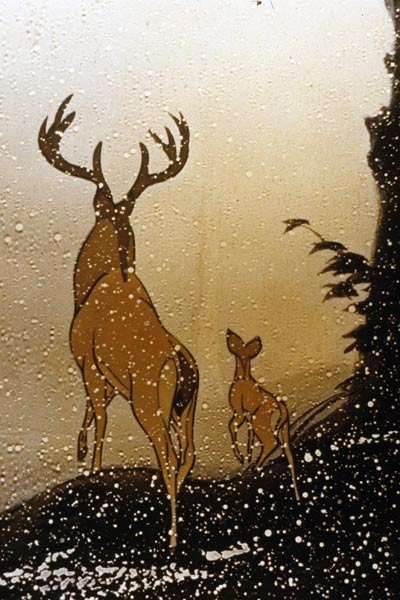 Bambi : Photo