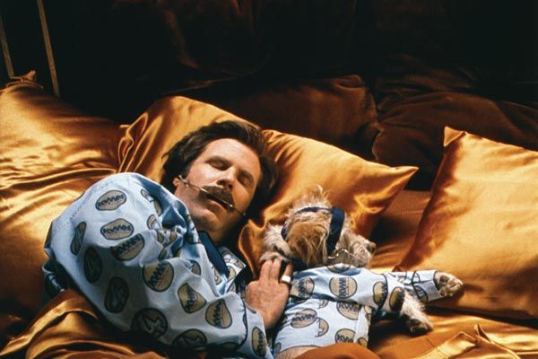 Présentateur vedette : la légende de Ron Burgundy : Photo Will Ferrell