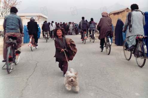 Chiens égarés : Photo Marzieh Meshkini