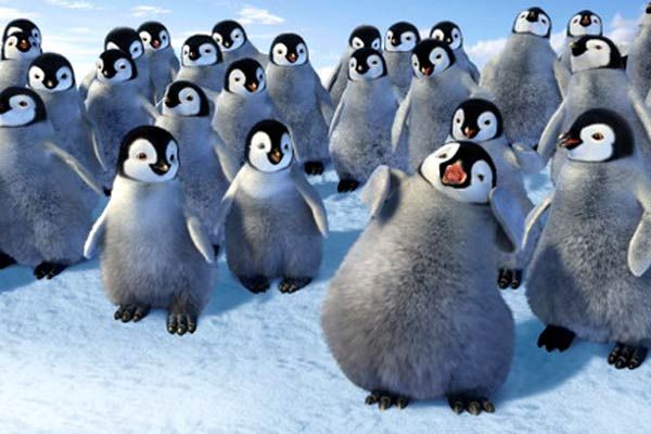 Happy Feet : Photo