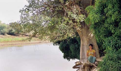 Lili et le baobab : Photo Romane Bohringer, Chantal Richard