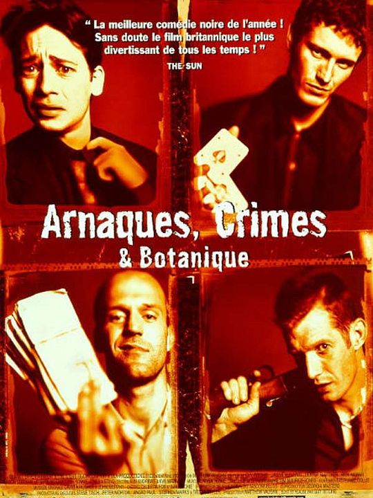 Arnaques, crimes et botanique : Affiche