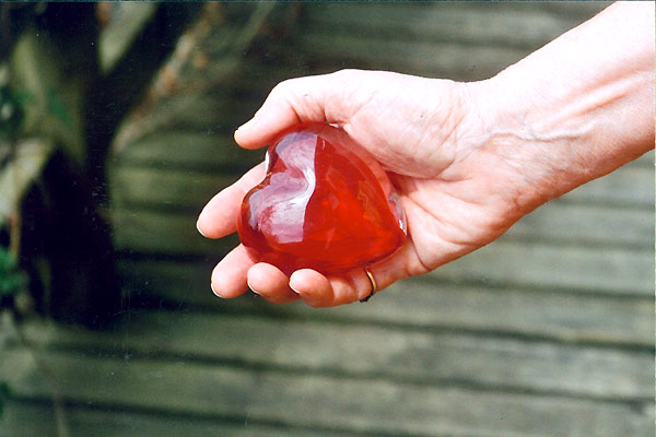 La Nébuleuse du coeur : Photo Jacqueline Veuve