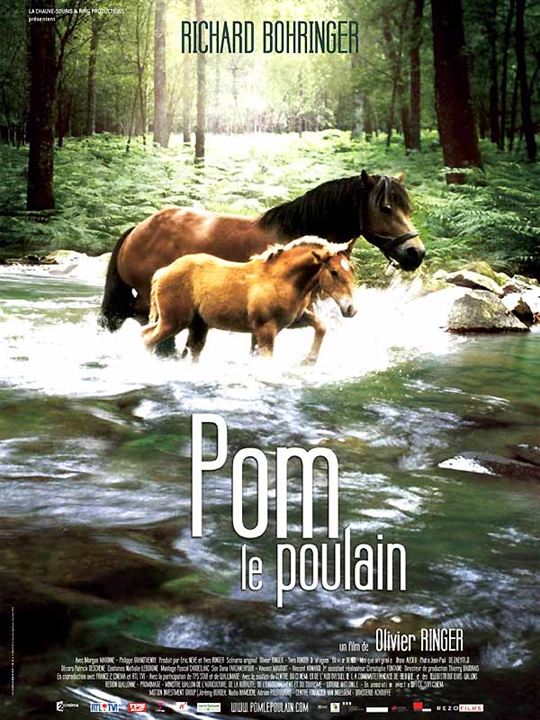 Pom le poulain : Affiche