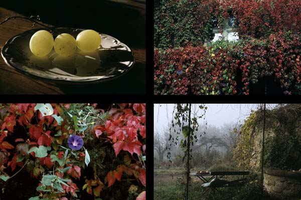 Jour après jour : Photo Jean-Paul Fargier