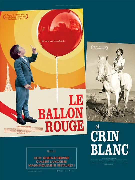 Crin blanc: Le cheval sauvage : Affiche