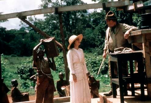 Out of Africa - Souvenirs d'Afrique : Photo Meryl Streep