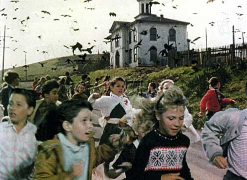 Les Oiseaux : Photo Alfred Hitchcock