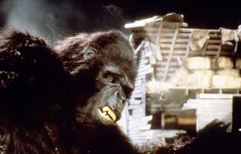 King Kong II : Photo John Guillermin