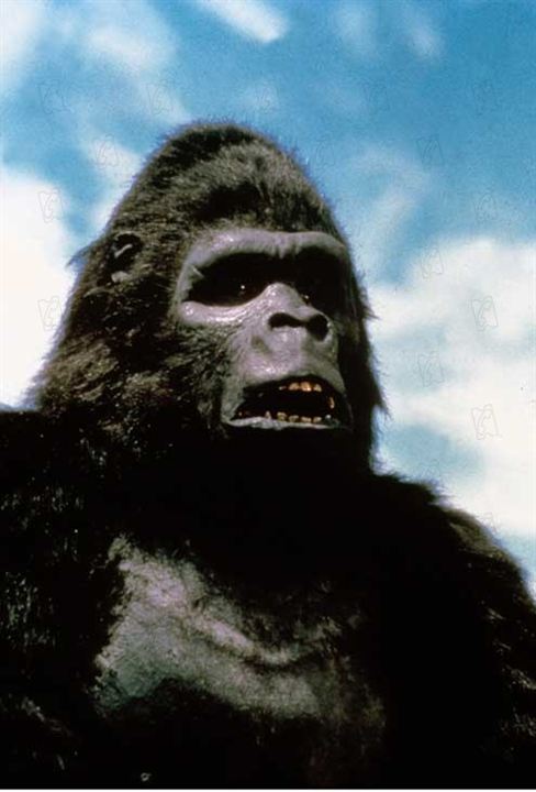 King Kong II : Photo John Guillermin