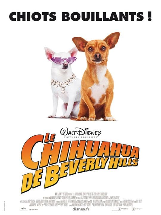 Le Chihuahua de Beverly Hills : Affiche Raja Gosnell