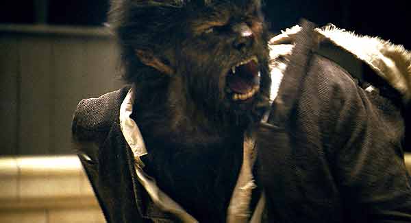 Wolfman : Photo Joe Johnston, Benicio Del Toro